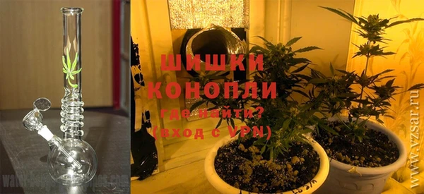 ПСИЛОЦИБИНОВЫЕ ГРИБЫ Баксан