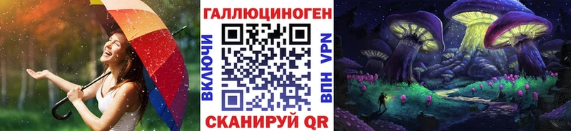 кракен рабочий сайт shop телеграм Галлюциногенные грибы Psilocybe где купить наркоту Нея